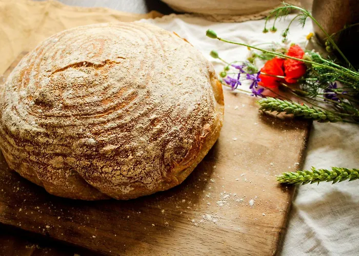 Terra Gæstehus Jasova